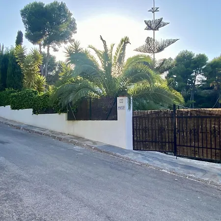 Palmera