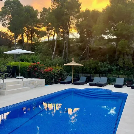 Palmera Jávea