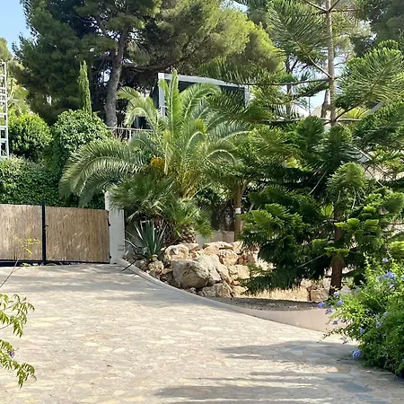 Palmera Willa